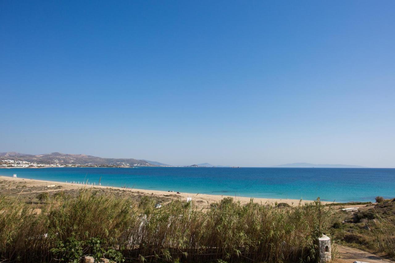 Naxian Riviera Exclusive Seafront Suites, Junior Suite 阿吉奥斯普罗科皮奥斯 外观 照片