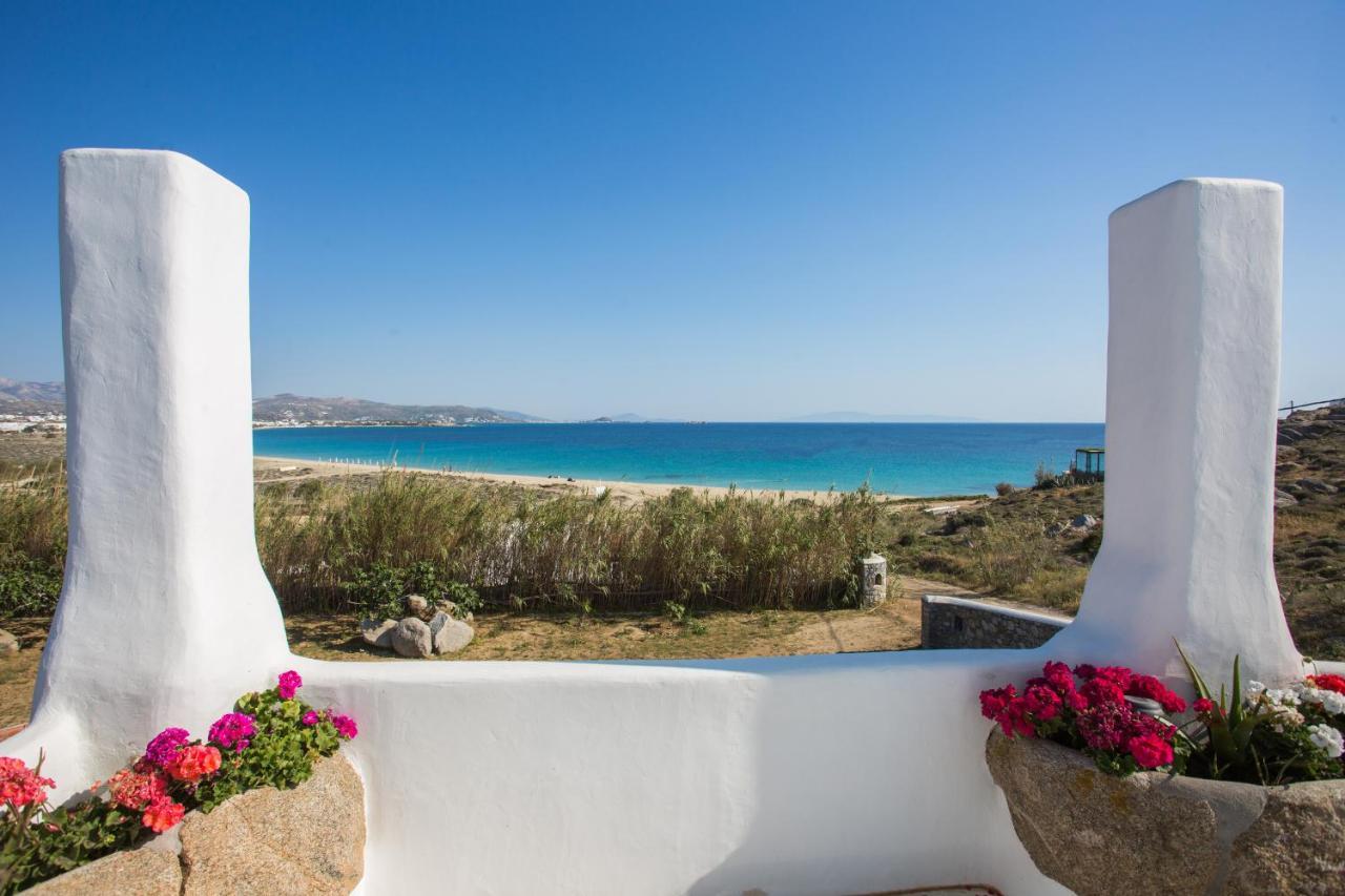 Naxian Riviera Exclusive Seafront Suites, Junior Suite 阿吉奥斯普罗科皮奥斯 外观 照片